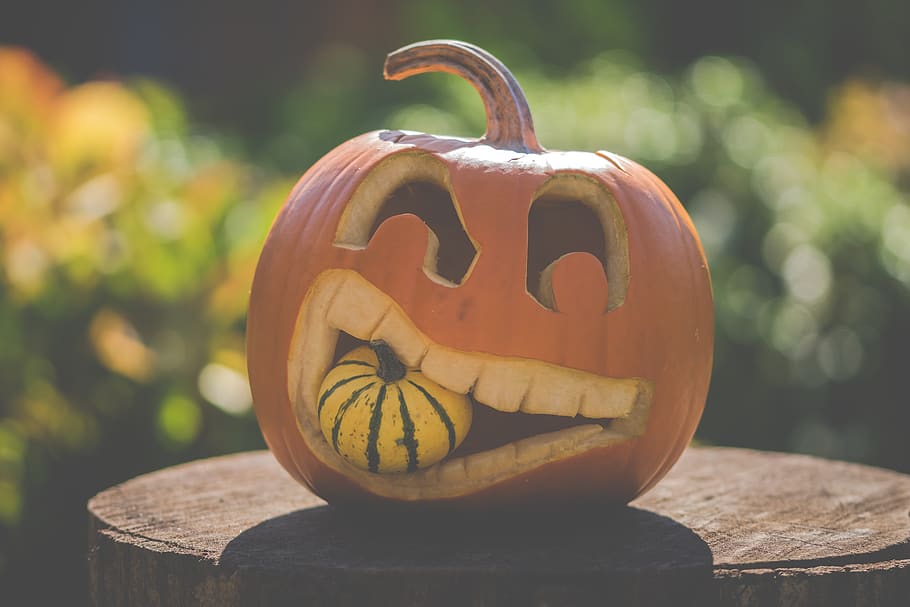 halloween, pumpkin, autumn, decoration, food, orange, edible, october, fruits, thanksgiving
