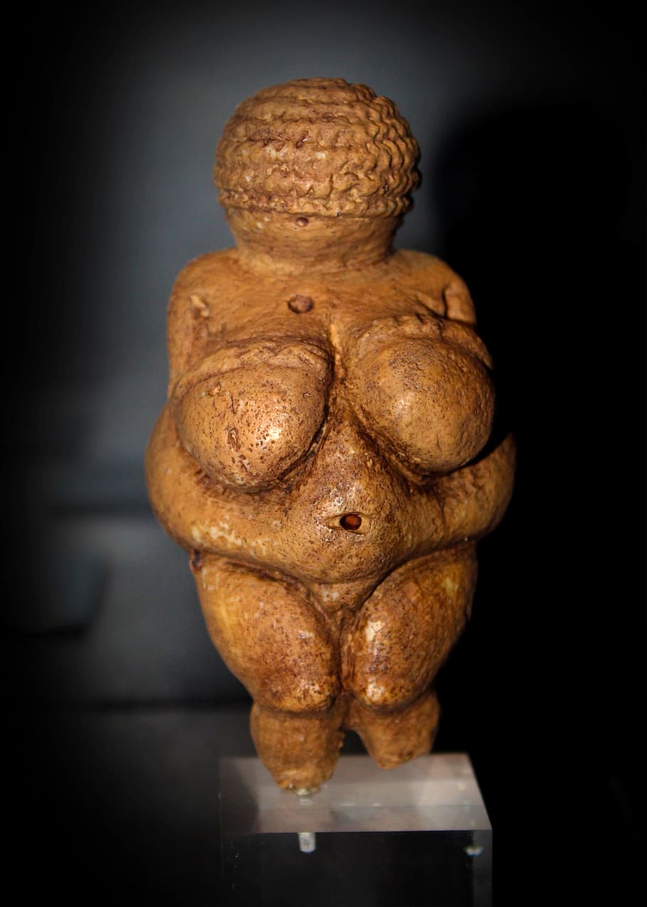 venus, willendorf, -, european, upper, paleolithic art, ancient, female, figurine, woman