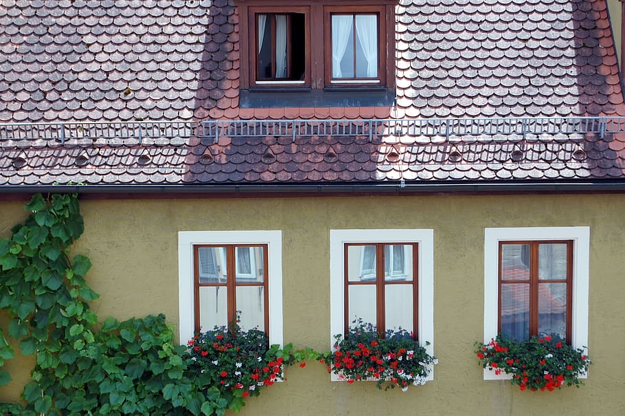 rothenburg, facade, window, yellow, architecture, old, building exterior, building, built structure, house
