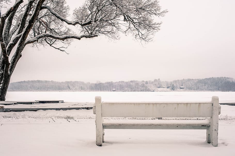 snow, bench, park, river, lake, water, frozen, ice, tree, cold