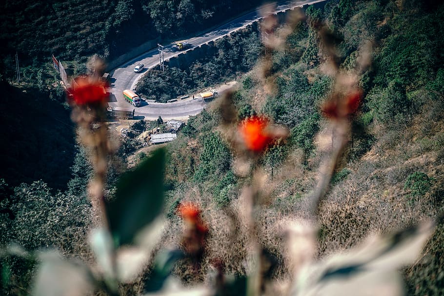curvy highway, plant, nature, transportation, selective focus, mode of transportation, day, high angle view, tree, motion