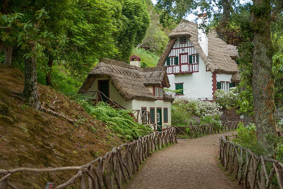 madeira, house in the forest, thatch, roof, pavilion, plant, tree, built structure, architecture, building exterior