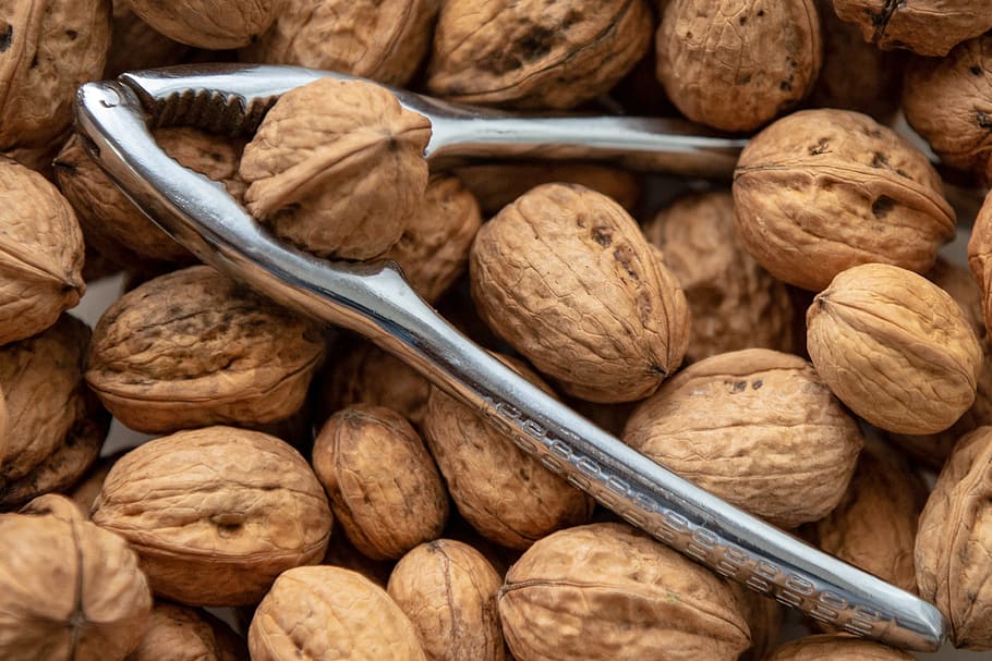 nutcracker, nuts, walnut, food, eat, walnuts, crack, nut, healthy, brown