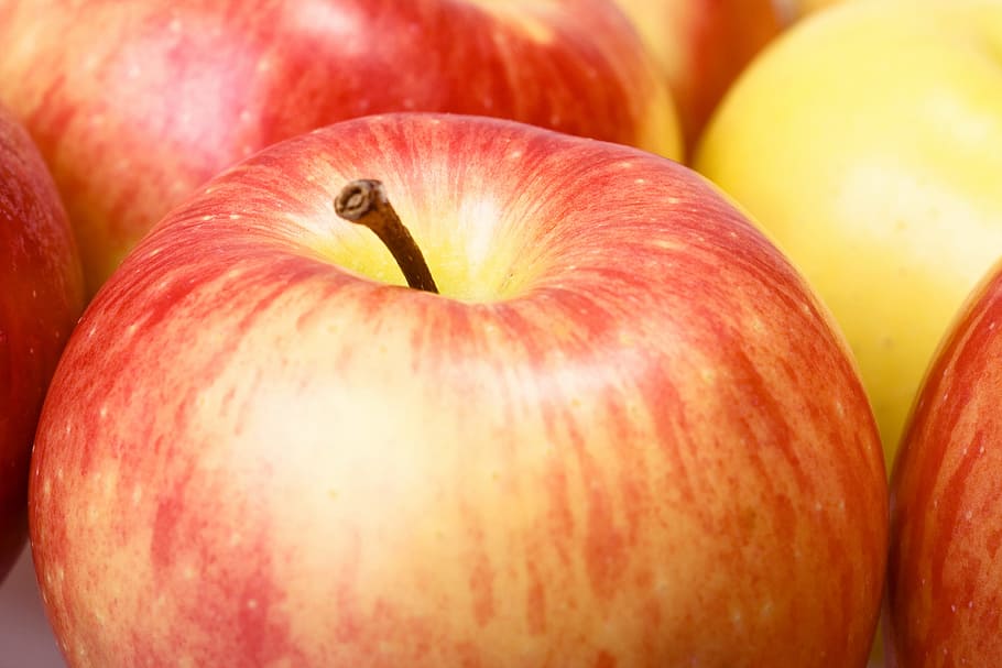 manzana, otoño, fondo, color, cultivo, cortar, comer, granja, alimentos, fresco