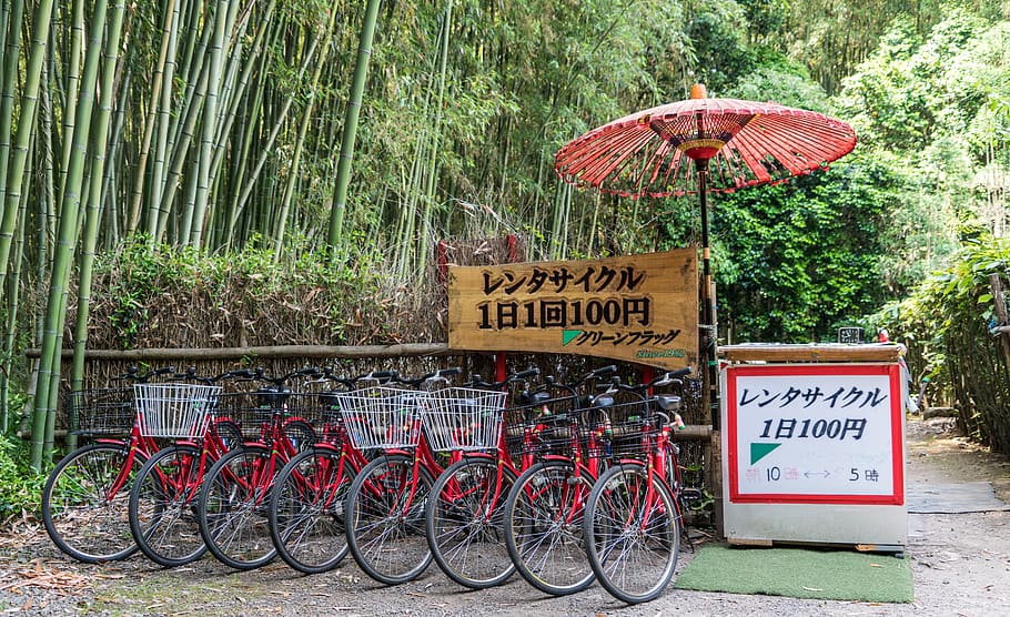 japan, bike rentals, bamboo forest, tourism, kyoto, travel, green, arashiyama, landmark, attraction
