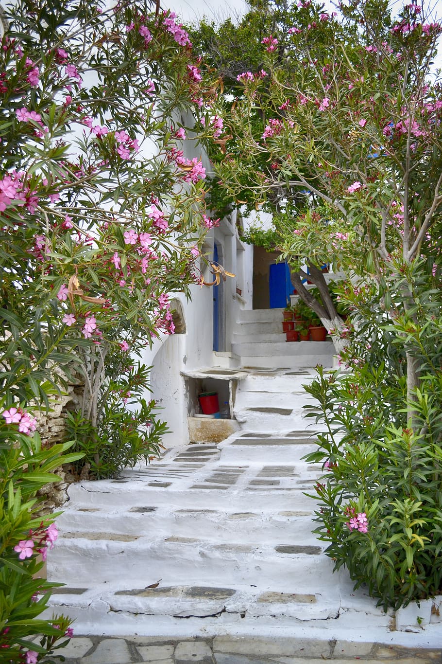 grécia, ilha, porta, flores, caminho, pedra, janelas, tradicional, turista, destino
