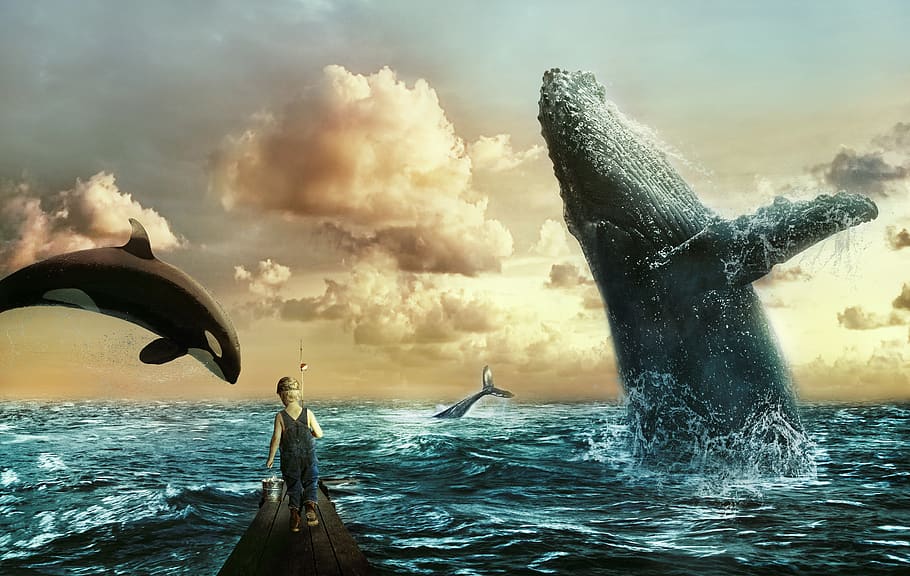 mar, ballenas, niño, nubes, cielo, agua, océano, fantasía, componer, orca