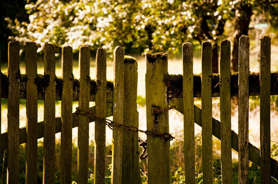 fence, garden, chain, rusted, garden fence, nature, wood, summer, green, tree