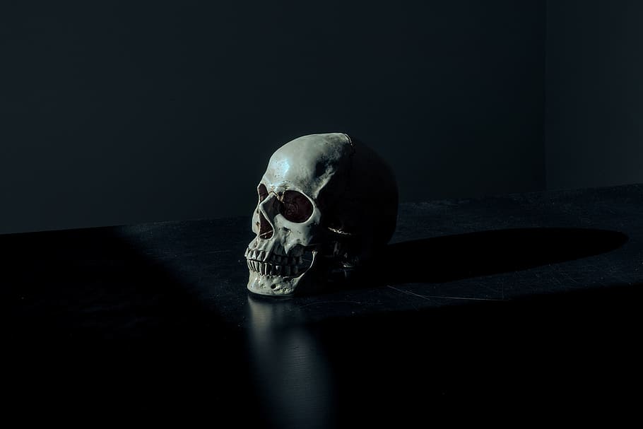 escuro, crânio, osso, mesa, reflexão, esqueleto humano, crânio humano, medo, esqueleto, horror
