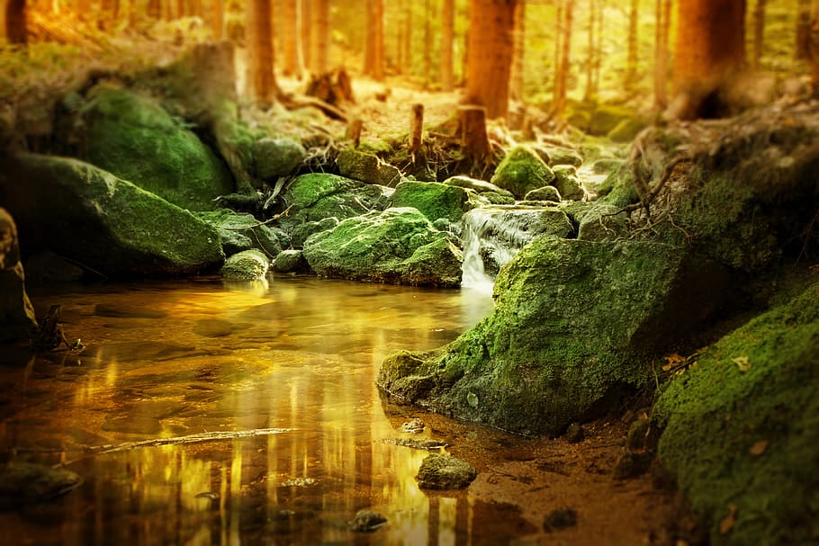 forest, waterfall, bach, rock, trees, landscape, nature, lighting, moss, fairytale