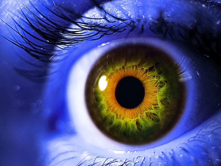 eye, increase, close-up, fantasy, scary, creepy, blue, yellow, green, pupil