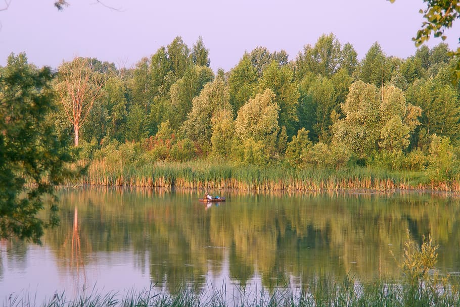 sunrise, siberia, nature, landscape, summer, calm, water, river ob, lake, travel