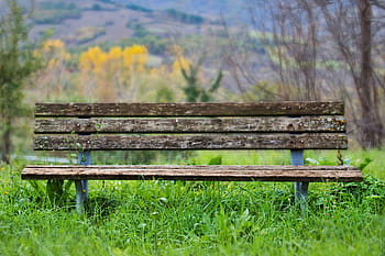 Royalty-free park bench photos free download | Pxfuel