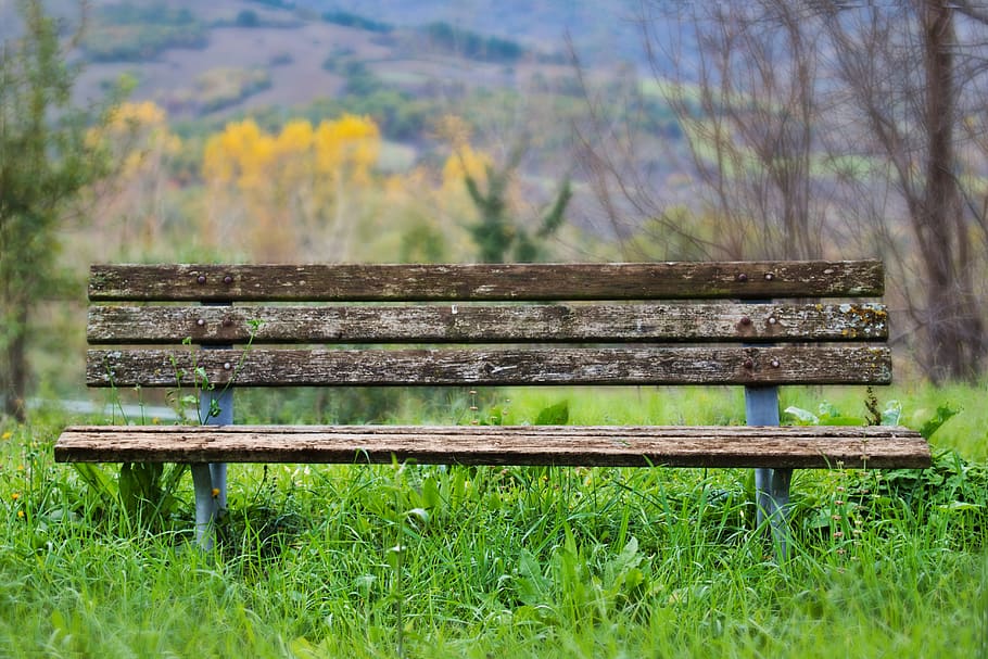 banco, madera, naturaleza, asiento, descanso, fuera, silencio, sentarse, bancos, parque