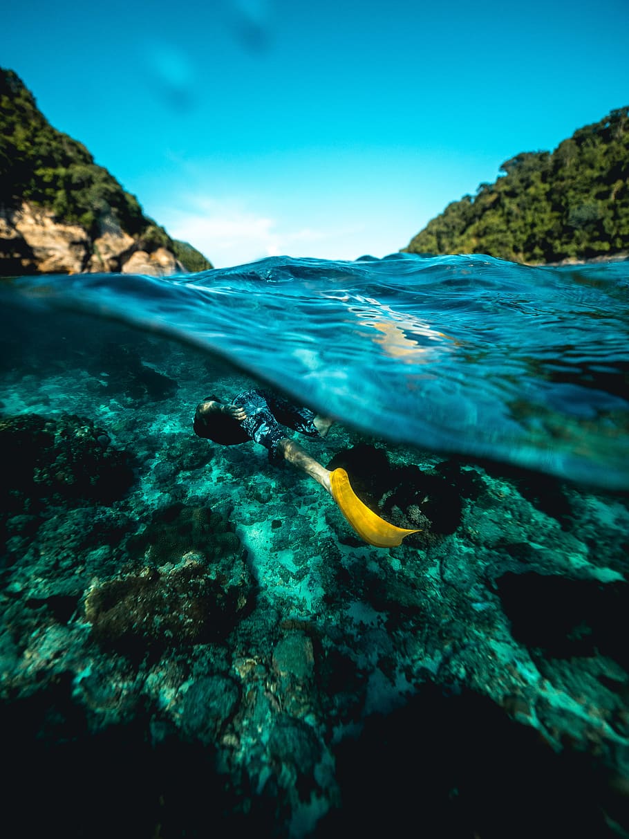 snorkeling, ocean, travel, man, yellow, fin, flipper, vacation, holiday, underwater
