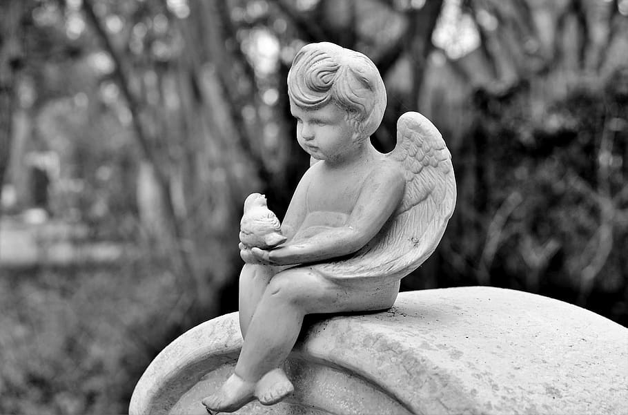 angel, cemetery, sculpture, statue, figure, angel figure, wing, stone figure, decoration, little angel