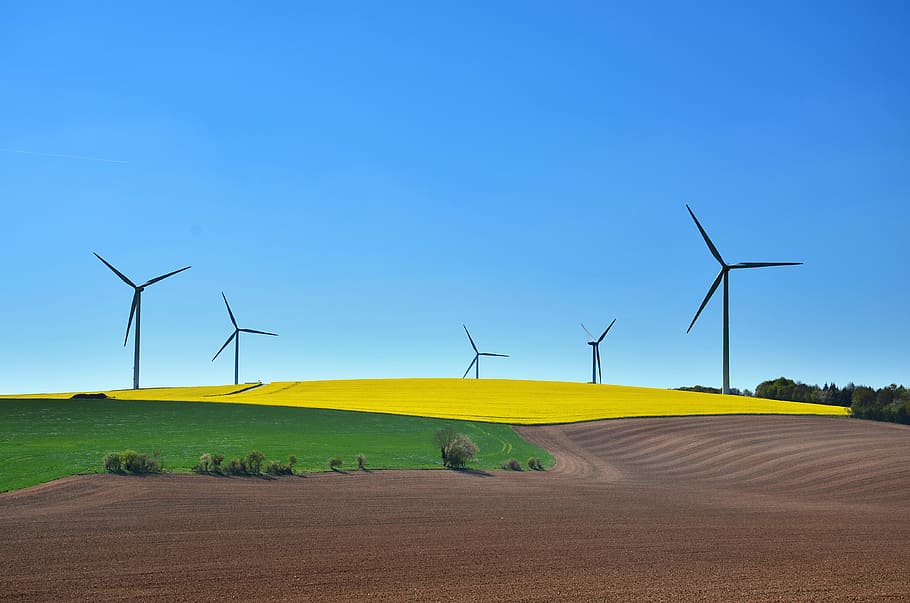sustainable development, wind turbine, wind, energy, environment, electricity, turbine, green, technology, renewable