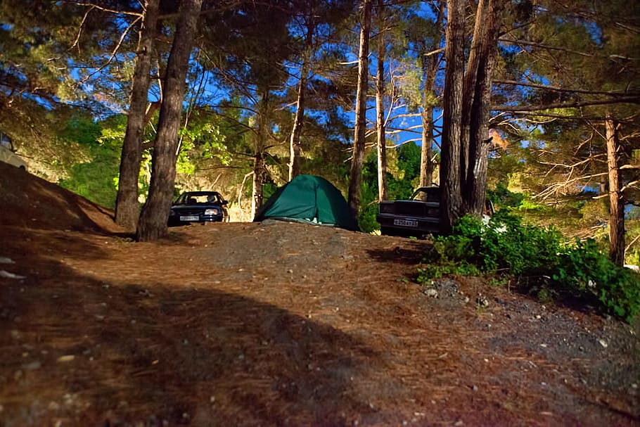 auto, camp, camper, campsite, car, evening, illuminated, night, outdoor, park