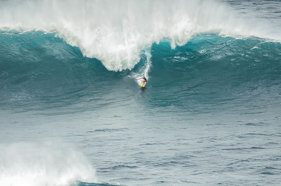 surfer, jaws, surfboard, sport, activity, sea, surf, hawaii, water, motion