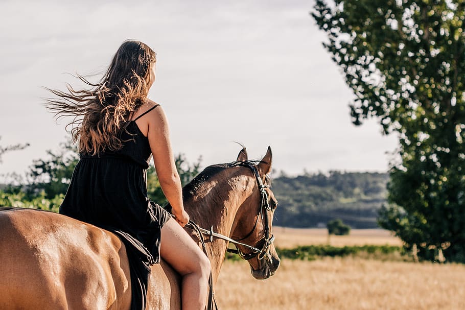 horse, girl, ride, trot, woman, nature, beauty, affection, equine, animal