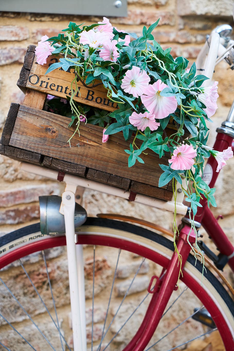bicycle, flowerpot, flower, decor, plant, aesthetics, pink, basket, street, city
