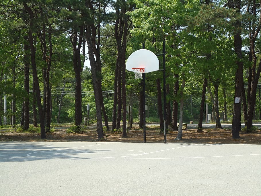 baskteball, court, hoop, outdoors, outside, basket, tree, plant, road, growth