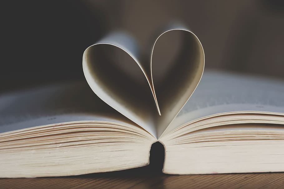 book, open, book pages, heart shape, heart, leaves, paperback, novel, read, education