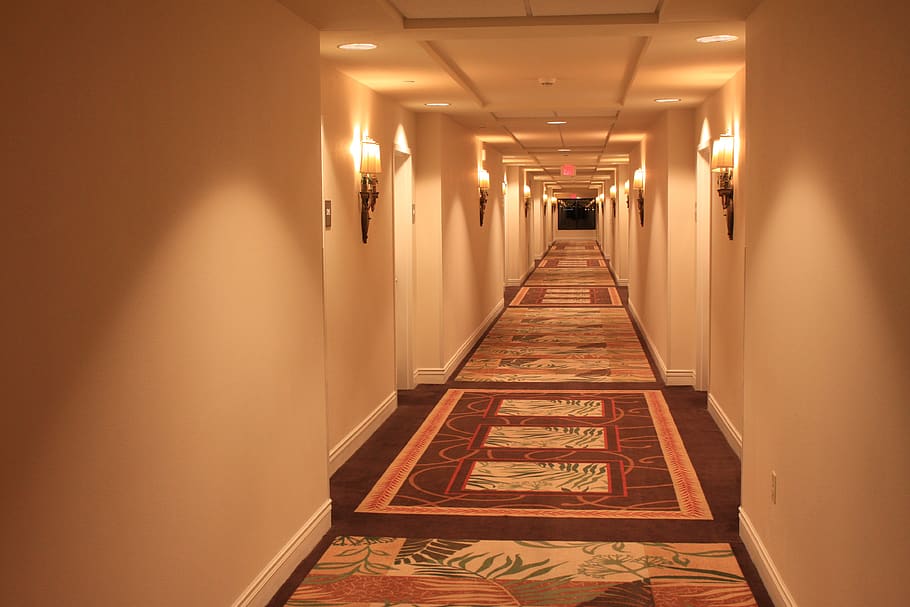 corridor, hotel, carpets, indoor, entrance, building, perspective, inside, design, residential