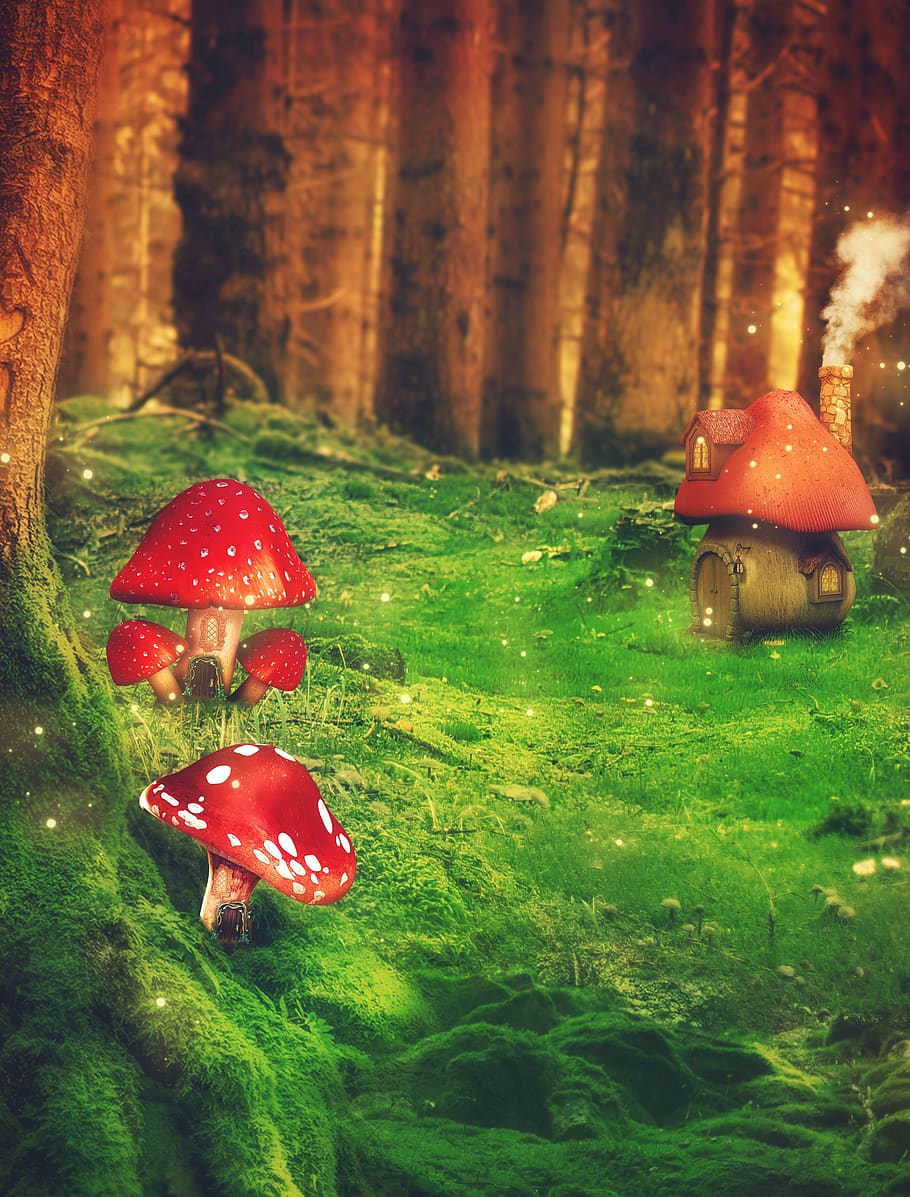 fantasy, forest, mushrooms, trees, meadow, matryoshka, window, doors, chimney, smoke