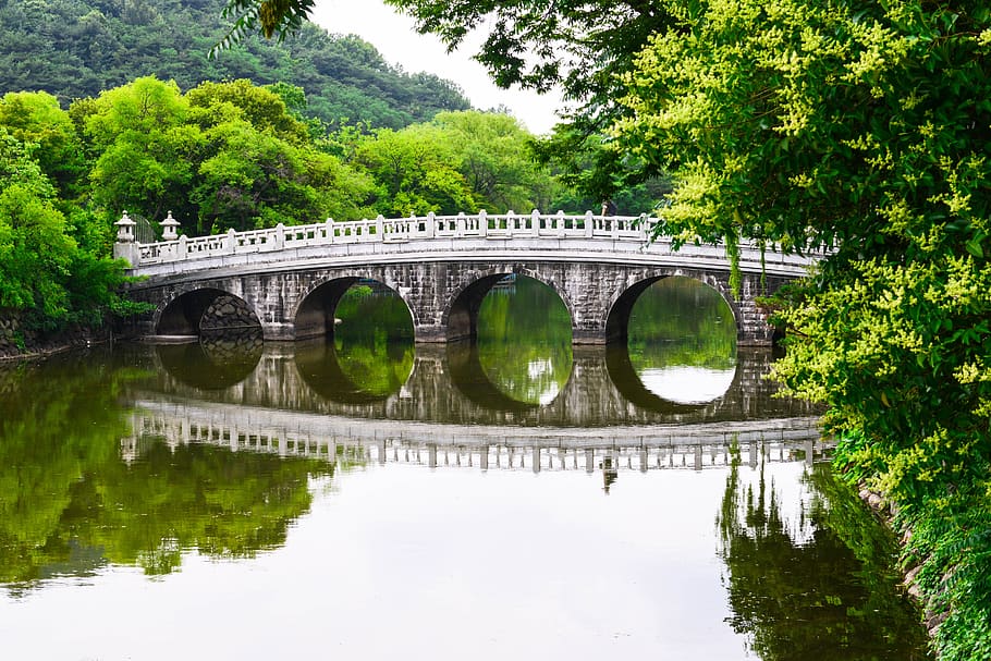 Corea, Daegu, río, bosque, catedral mal, reflexión, conexión, agua, árbol, puente