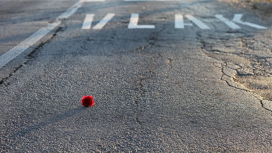 little red rose, road and rail crossing, attention, lost lives, accident, drive carefully, outdoor, red, road, day