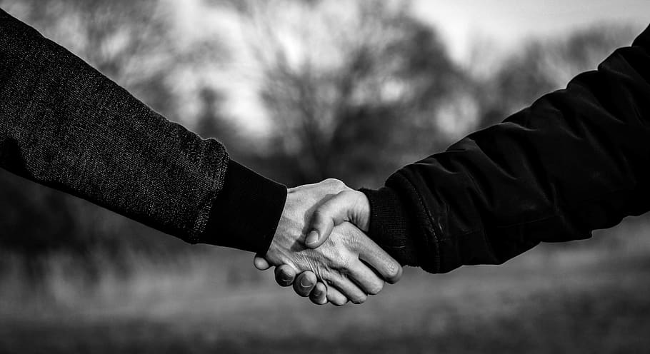 handshake, shaking hands, hands, welcome, arrange, agree, harmony, friendship, get to know, human hand