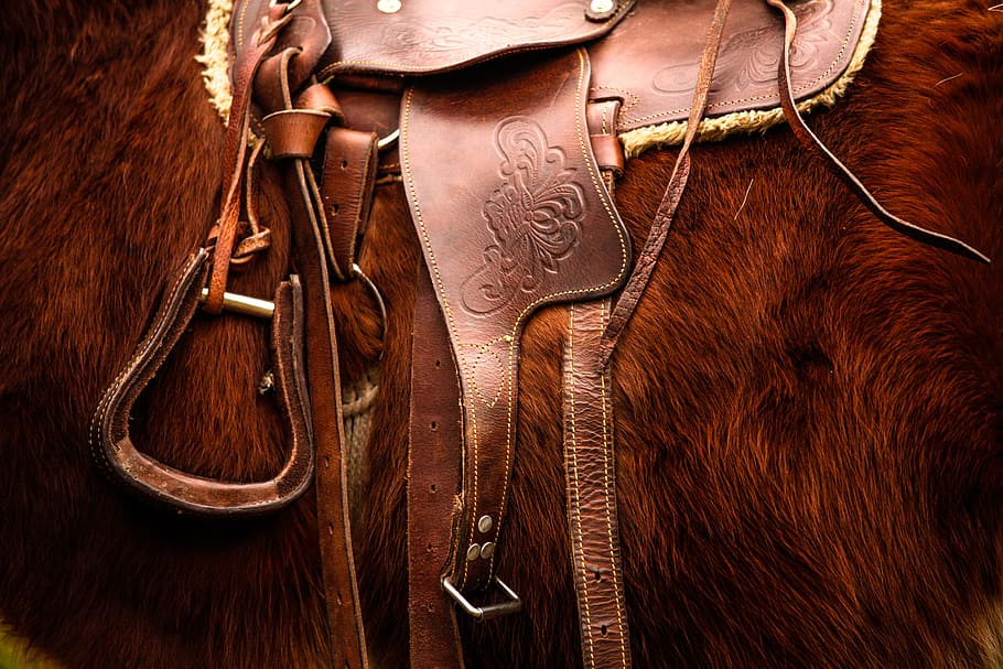 black, brown, horses, pink, red, saddles, leather, livestock, mammal, wood - material