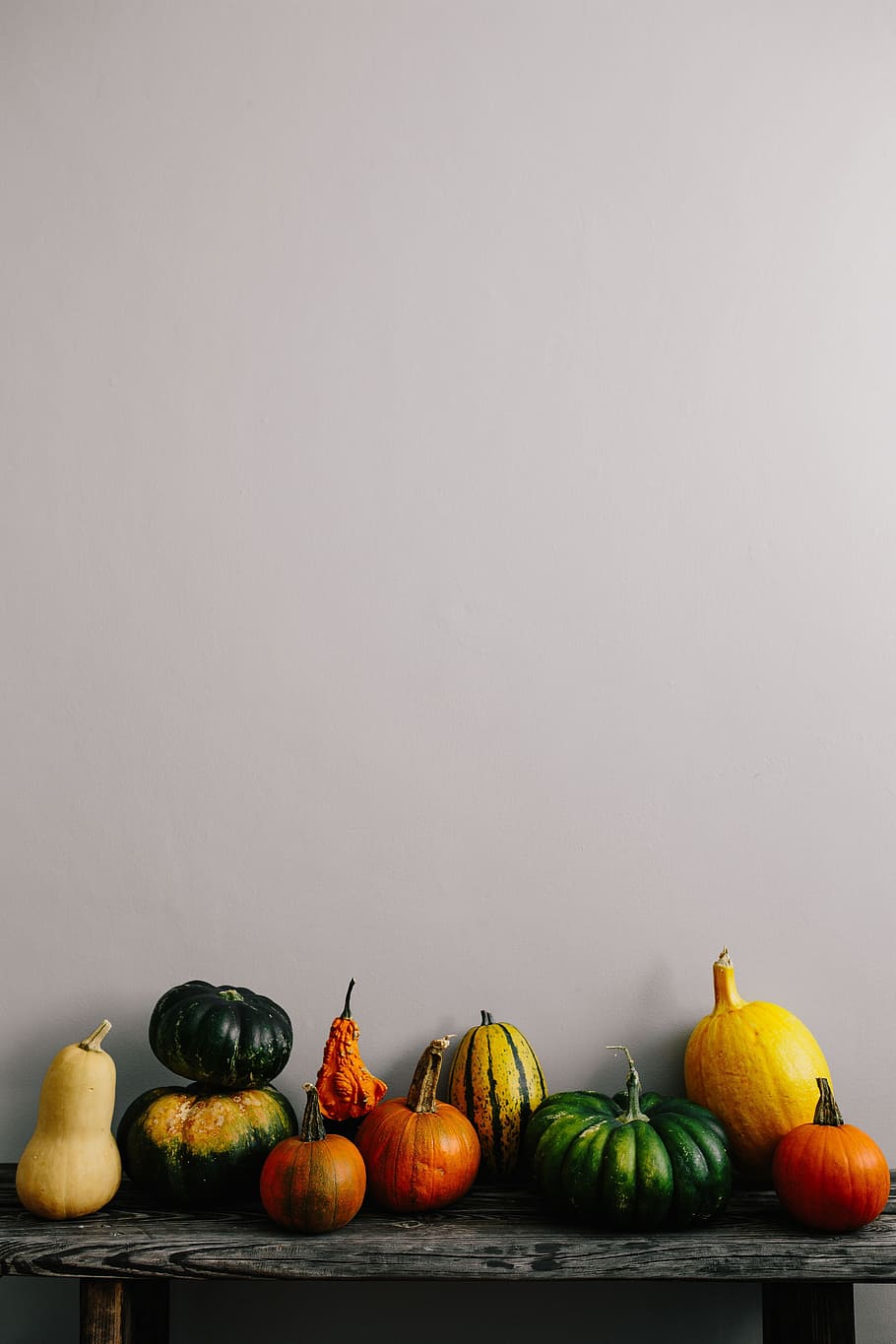 variedade de abóboras, saudável, saúde, outono, abóbora, vegetal, dia das bruxas, sazonal, outubro, novembro
