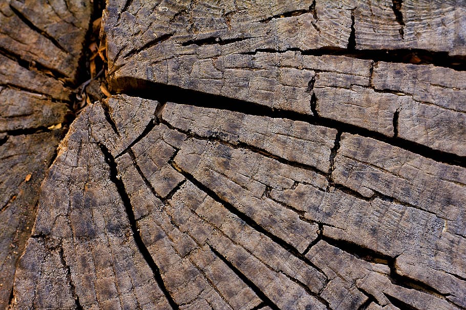 rough, nature, pattern, textile, bark, texture, dry, wood, lena, old