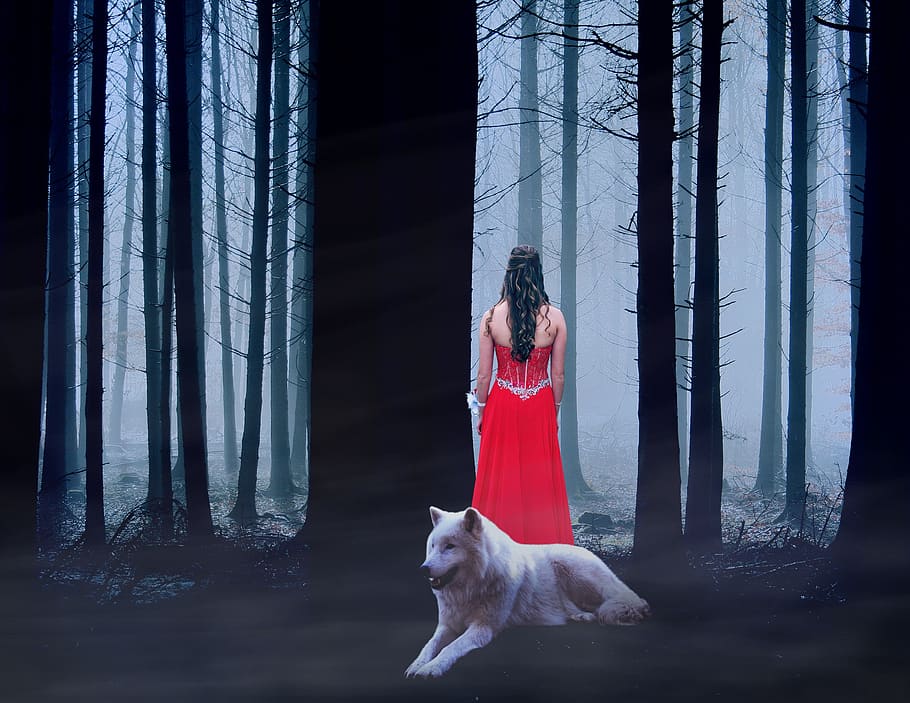 dog, people, woman, love, dress, girl, young, fantasy, wolf, woods