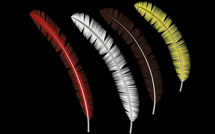 feather, spring, cropped, png, fantasy, nature, flying, transparent, black background, studio shot