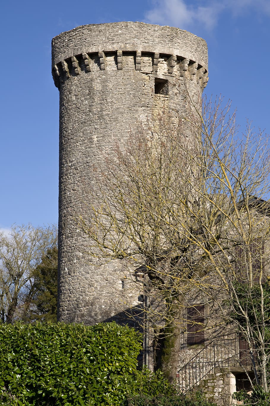 tower, medieval, fortress, templars, keep, plant, tree, architecture, sky, nature