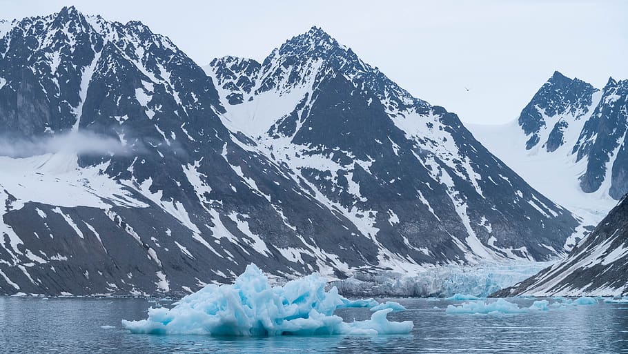 polar, glacier, iceberg, frozen, warming, floating, ice, cold, north, arctic