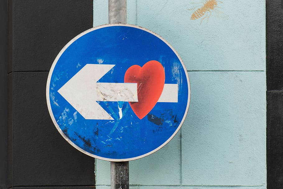 one way sign, city and Urban, sign, communication, blue, road sign, guidance, road, day, information