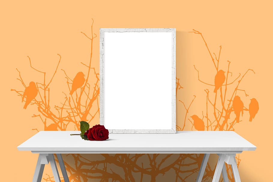 poster, frame, wall, desk, flower, rose, plant, indoors, nature, picture frame