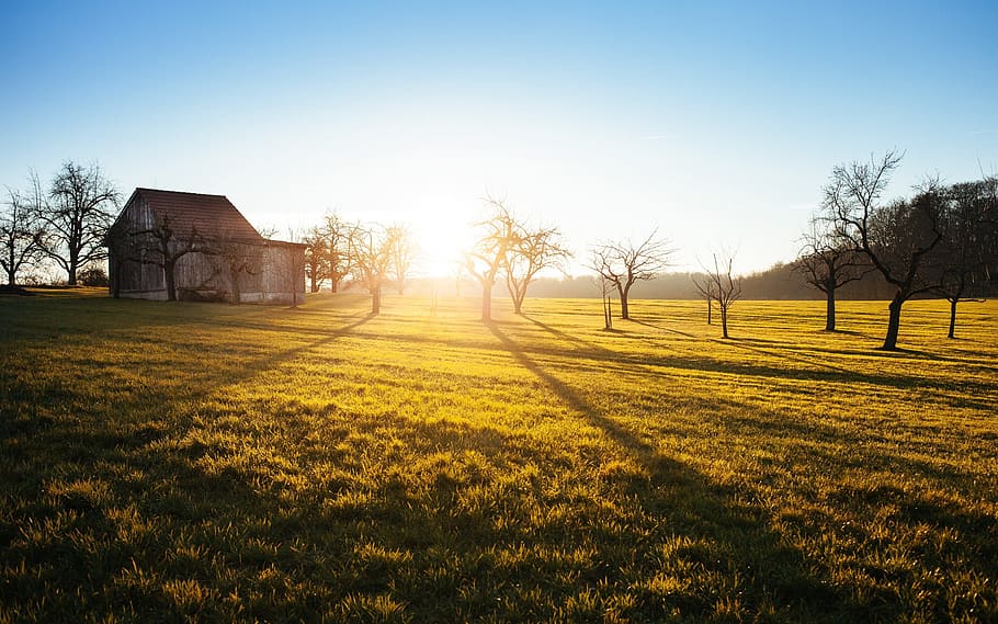sunrise, morning, farm, barn, trees, fields, grass, blue, sky, country