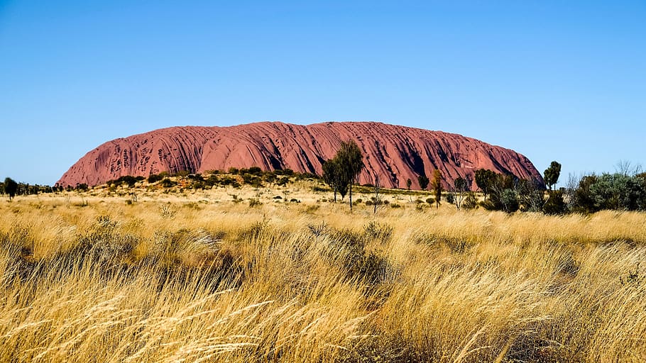 ayers rock, australia, landmark, bush, red, scenic, heritage, stone, geology, outback