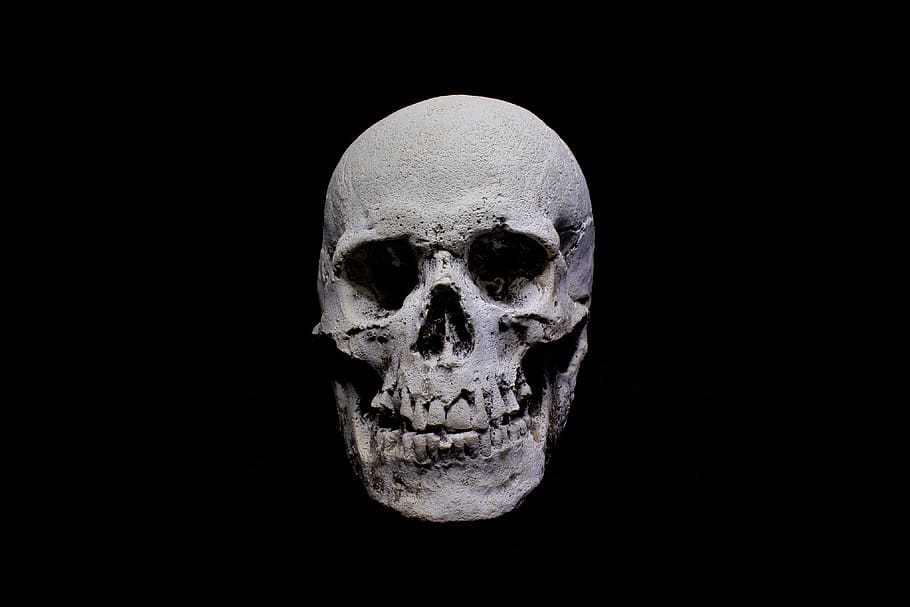 череп, темный, готический, человеческий скелет, черный фон, Кость, Человеческий череп, ужасный, Человеческая кость, страх
