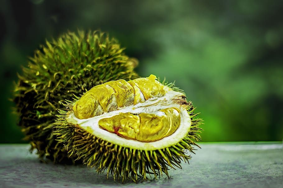 tropical fruit, durian, tropical, exotic, malaysia, agriculture, fruit, plant, farm, king of fruit