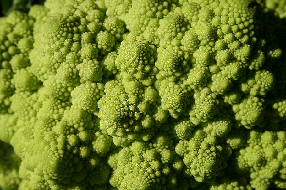 broccoli, green, macro, pattern, mandelbrot, geometry, fractals, nature, vegetables, eat