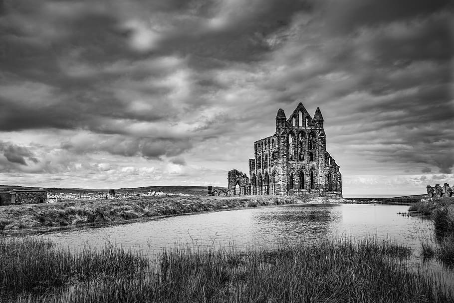 whitby abbey, whitby, abbey, ruin, ruins, church, cathedral, architecture, place, building