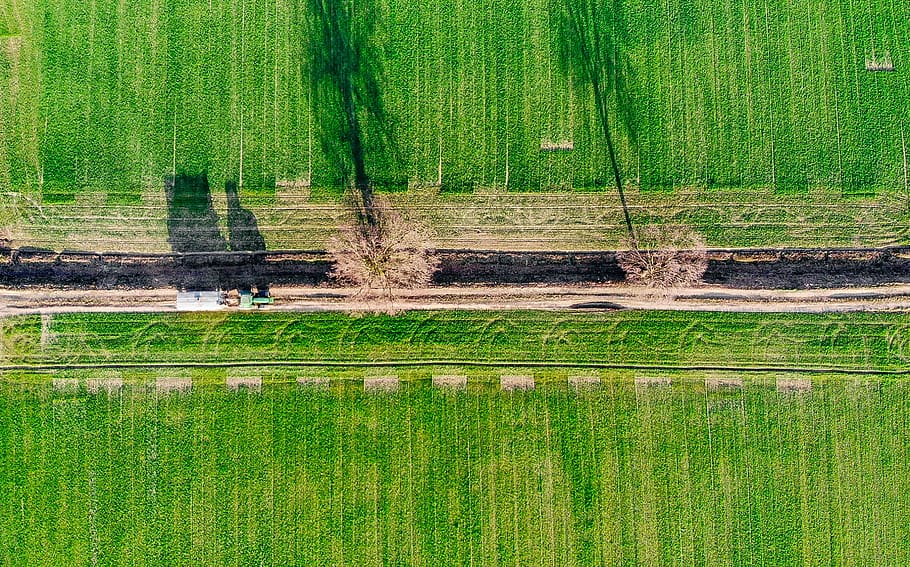 dron, vista aérea, desde la parte superior, campaña, camino, árboles, verde, fertilizante, sombras, esparcidor de fertilizante para camión