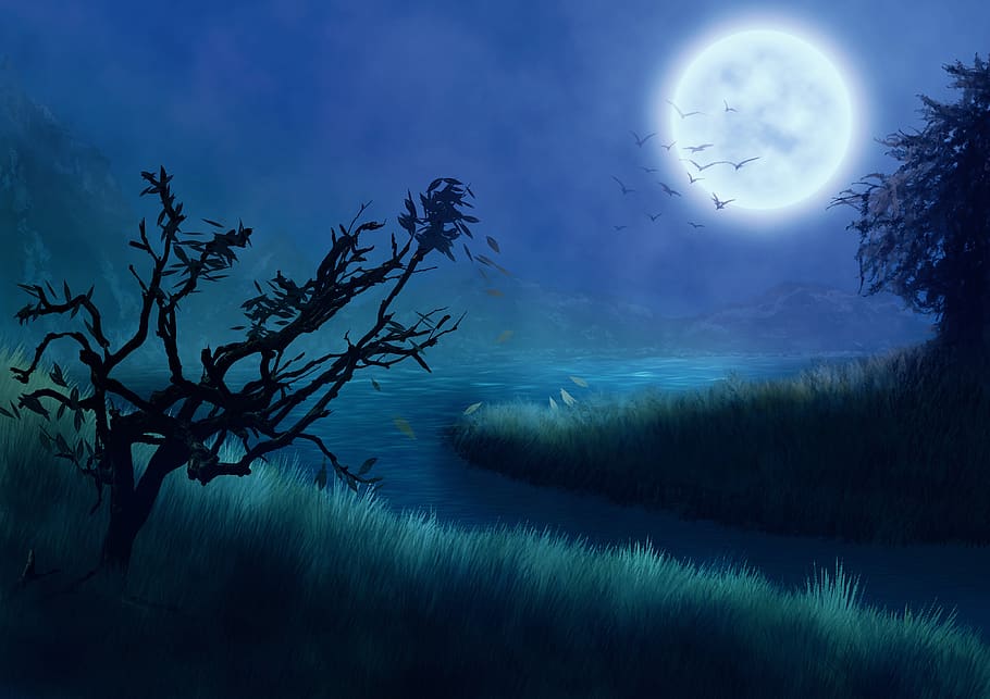 fantasy, background image, moon, trees, meadow, lake, mountains, surreal, template, blue