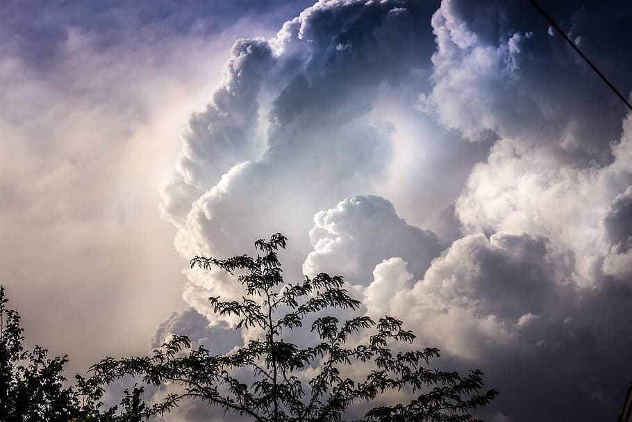 sky, clouds, trees, nature, dark, cloud - sky, beauty in nature, tree, scenics - nature, environment